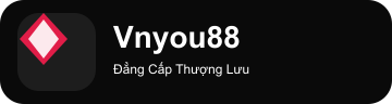 vnyou88.com Logo